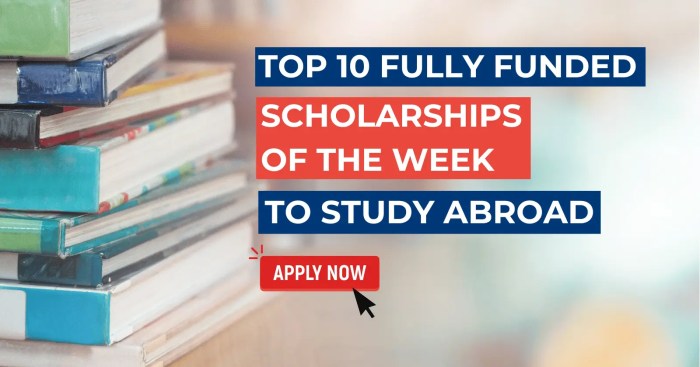 Top 10 Fully Funded Scholarships for PhD Students in 2024