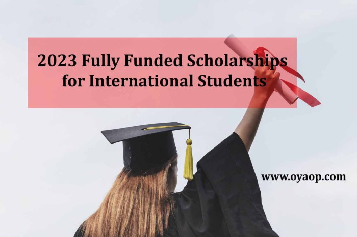 10 Fully Funded Scholarships for International Students in Japan