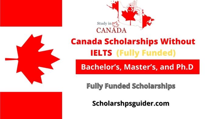 10 Steps to Apply for Fully Funded Scholarships Without IELTS