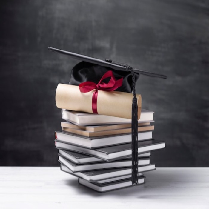 5 Scholarships for Students Facing Financial Hardships in 2024