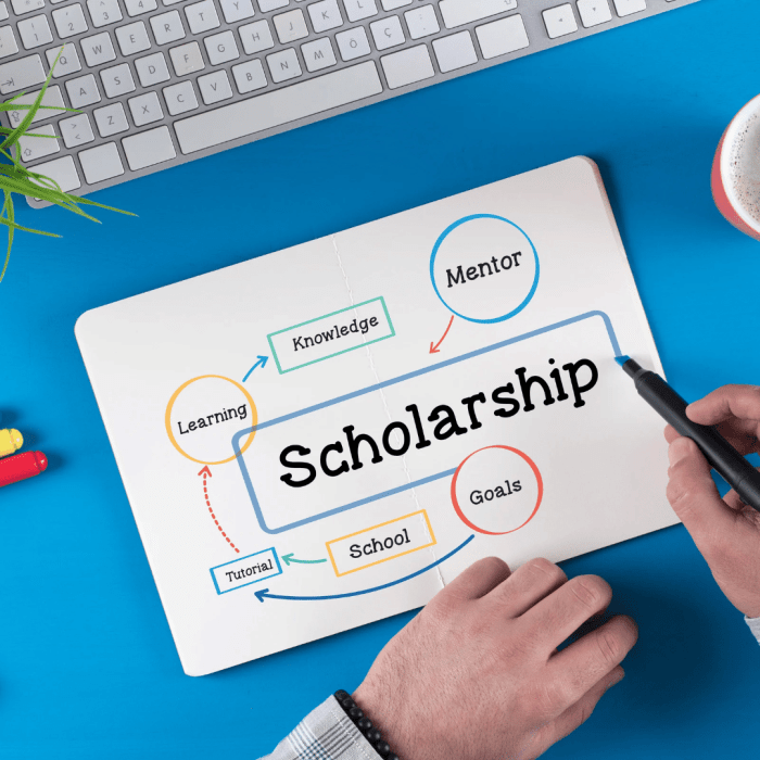 10 Top Scholarships for Medical Students in 2024