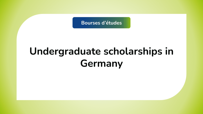 7 Scholarships for International Students to Study in Germany