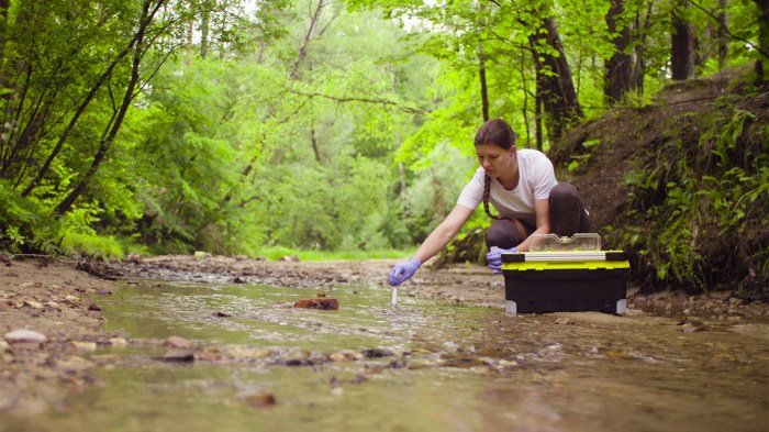 10 Scholarships for Environmental Science Majors