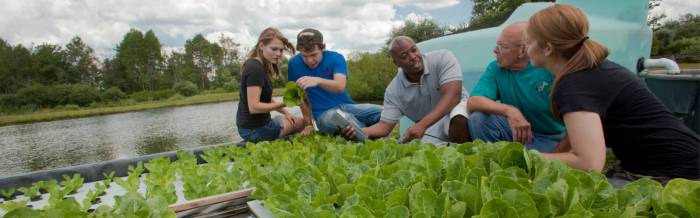 10 Scholarships for Environmental Science Majors