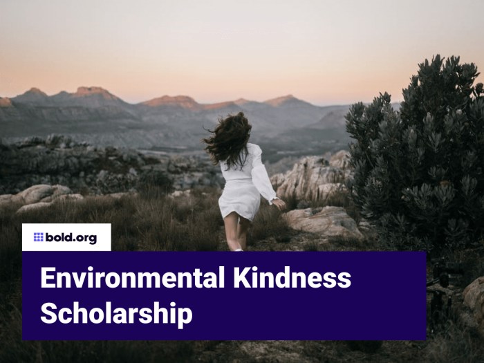 8 Scholarships for Environmental Activists