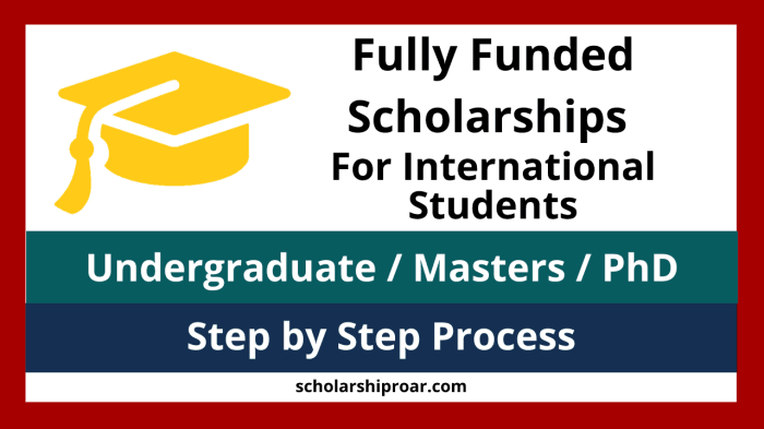 12 Fully Funded Scholarships for Undergraduate Degrees in Europe