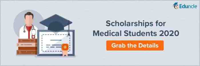 10 Top Scholarships for Medical Students in 2024