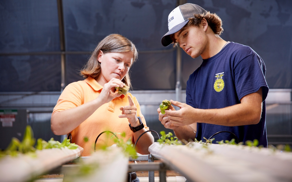 Scholarships agriculture horticulture forestry majors jlvcollegecounseling